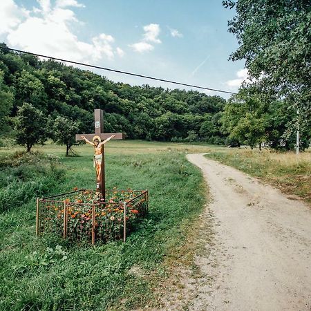 Antosikov Majer Guest House Banská Štiavnica Екстериор снимка