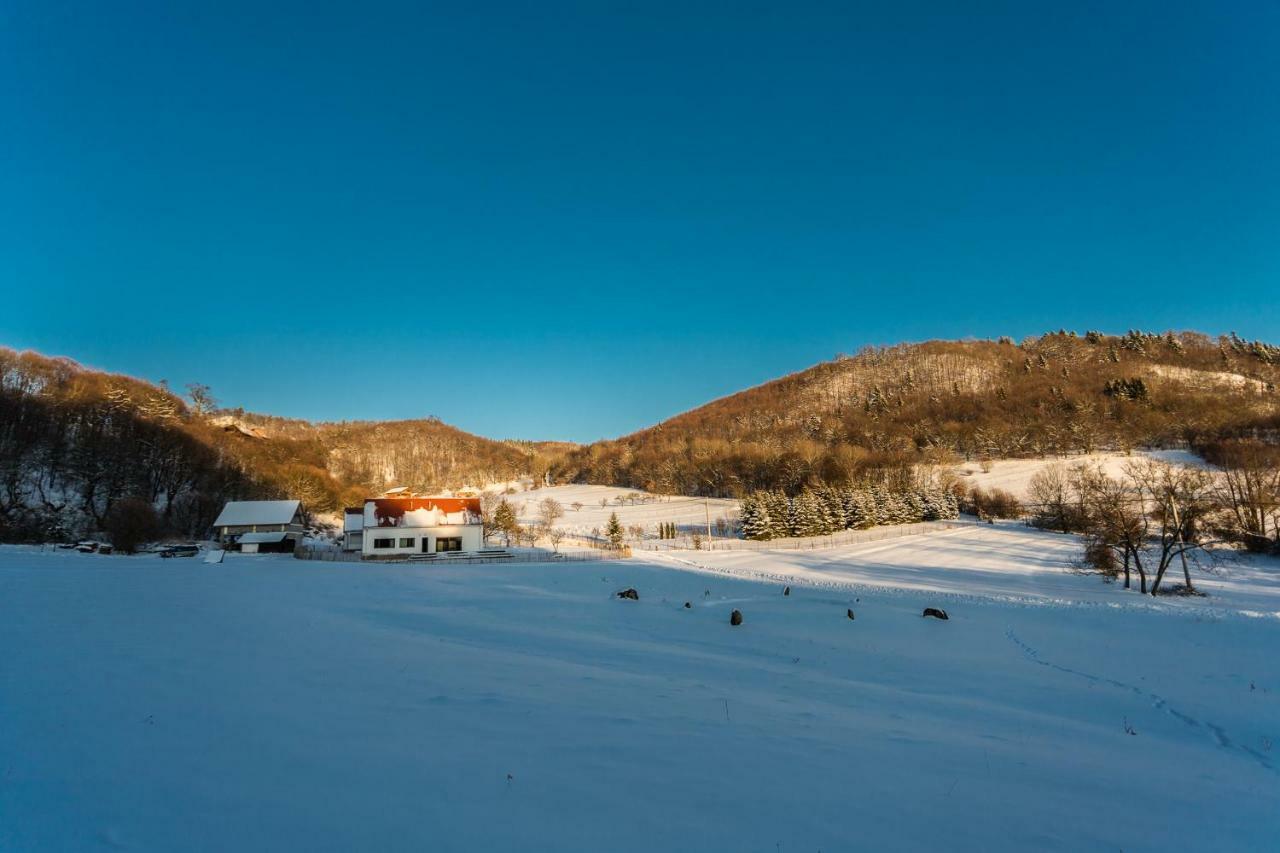 Antosikov Majer Guest House Banská Štiavnica Екстериор снимка