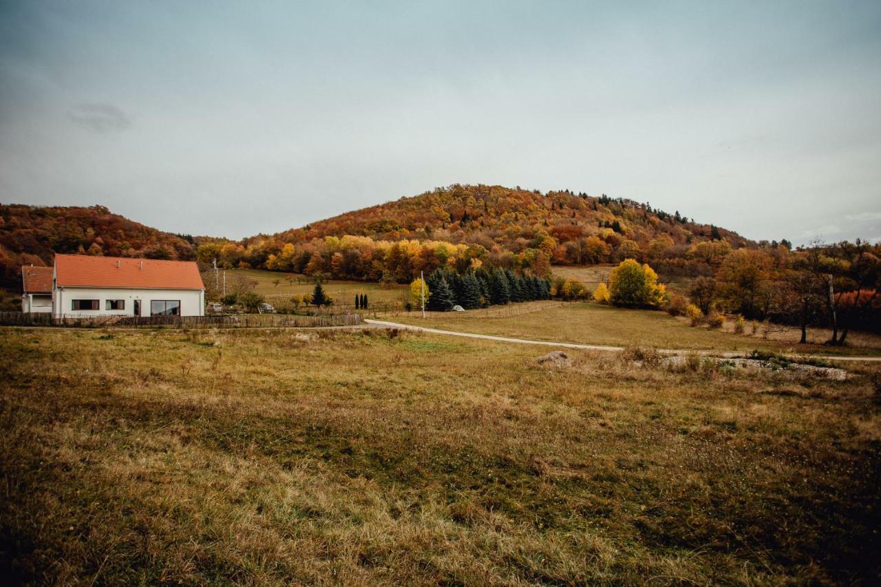 Antosikov Majer Guest House Banská Štiavnica Екстериор снимка