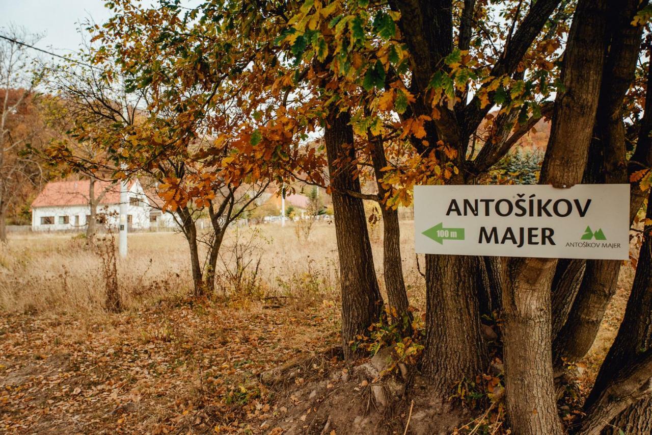Antosikov Majer Guest House Banská Štiavnica Екстериор снимка