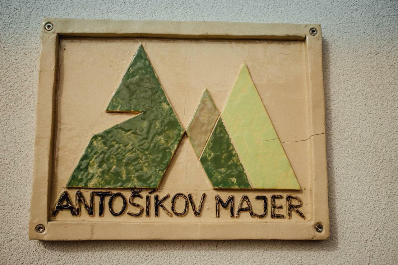 Antosikov Majer Guest House Banská Štiavnica Екстериор снимка