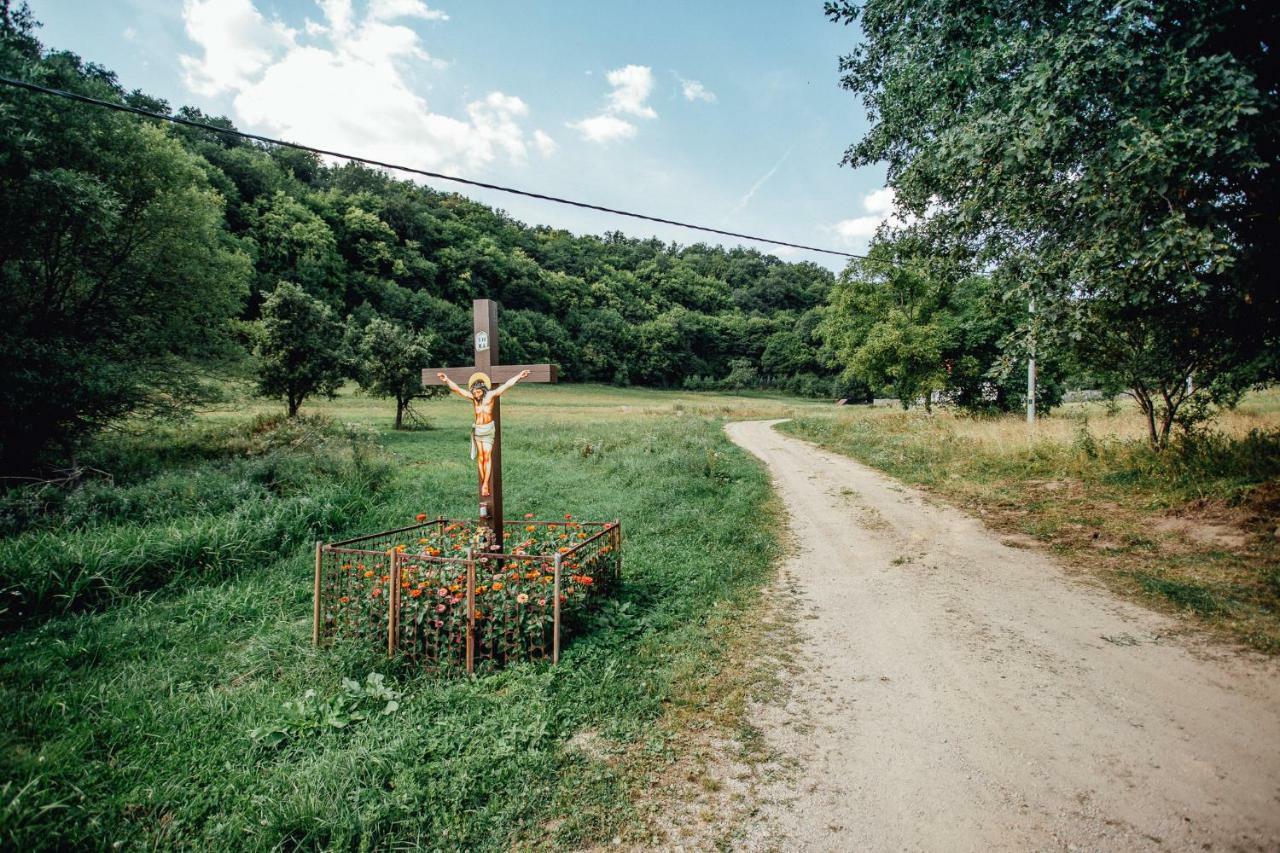 Antosikov Majer Guest House Banská Štiavnica Екстериор снимка